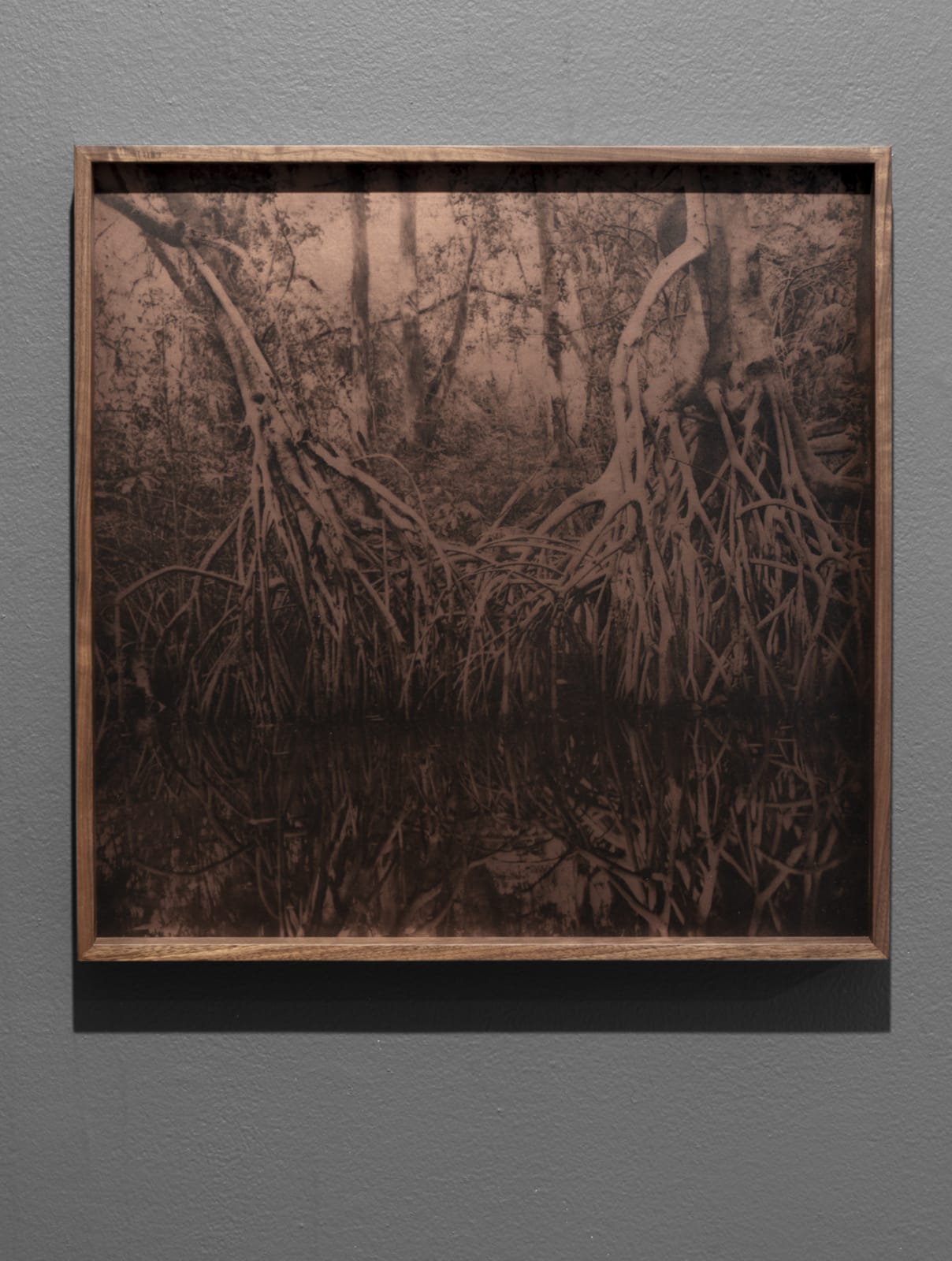 Miguel G. Counahan, Centla, 2021