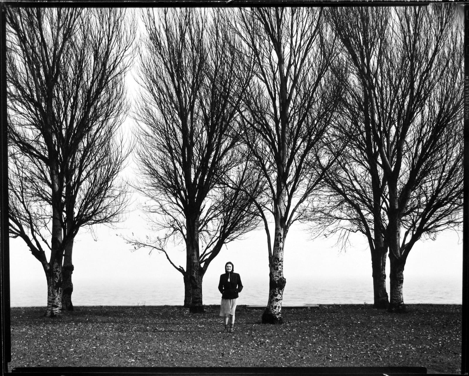 Harry Callahan Eleanor 写真集 Harry Callahan. Eleanor, Chicago. 1949 | MoMA