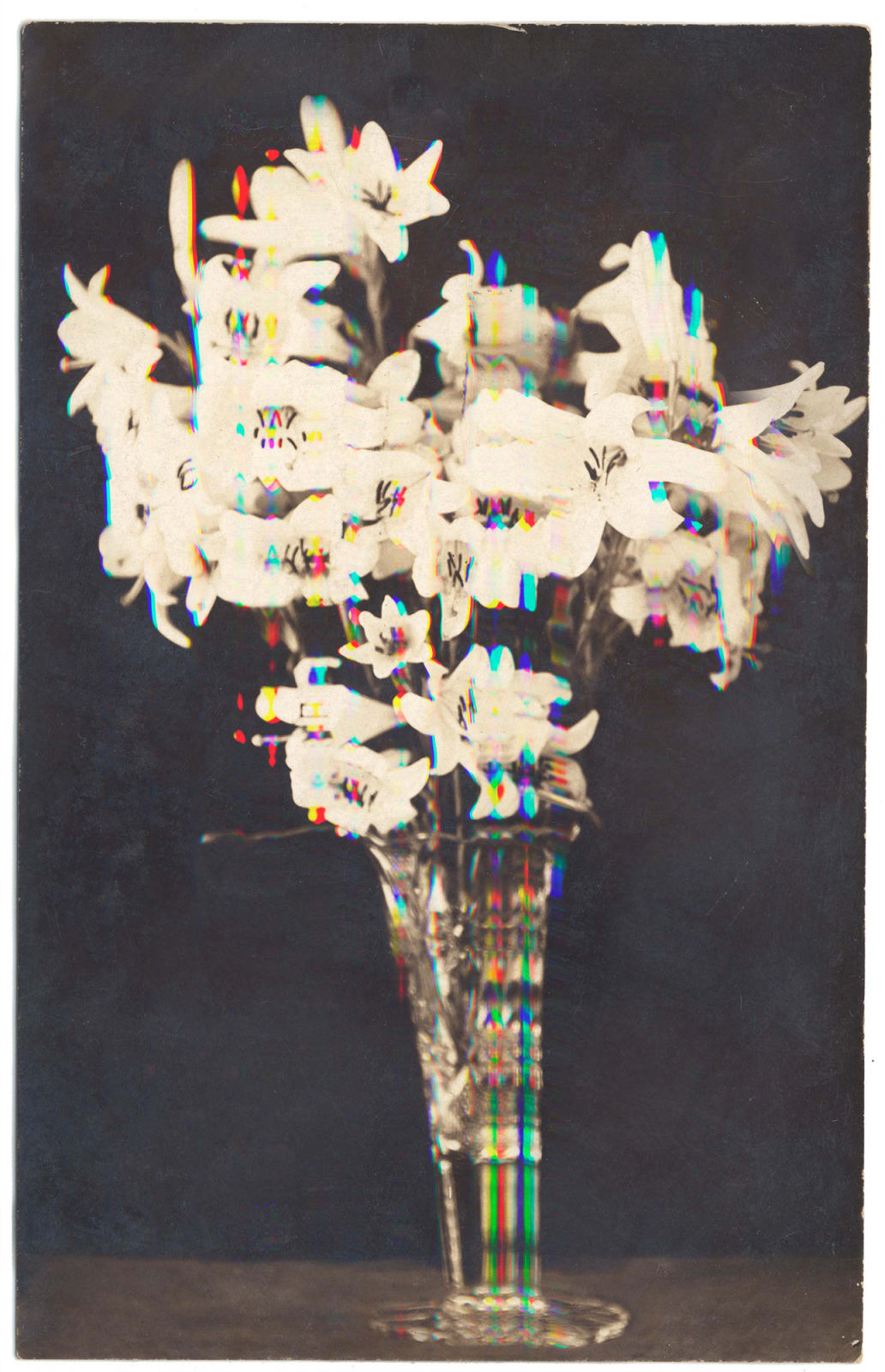 Rachel Phillips, Crystal Lillies, 2024
