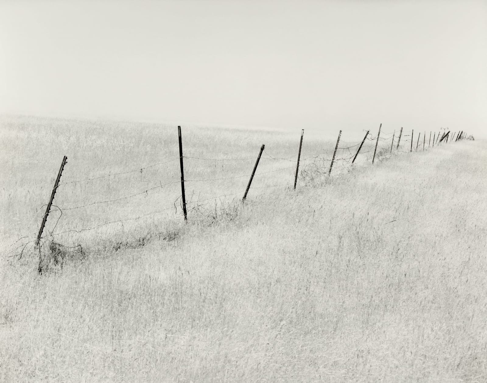 Ryan McIntosh, Fence and Grasses, Tracy Hills, CA, 2024