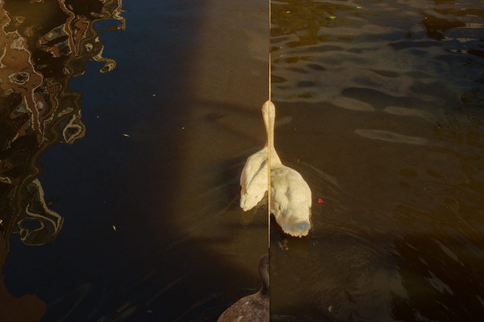 Albarrán Cabrera, Kairos, #4019, 2015