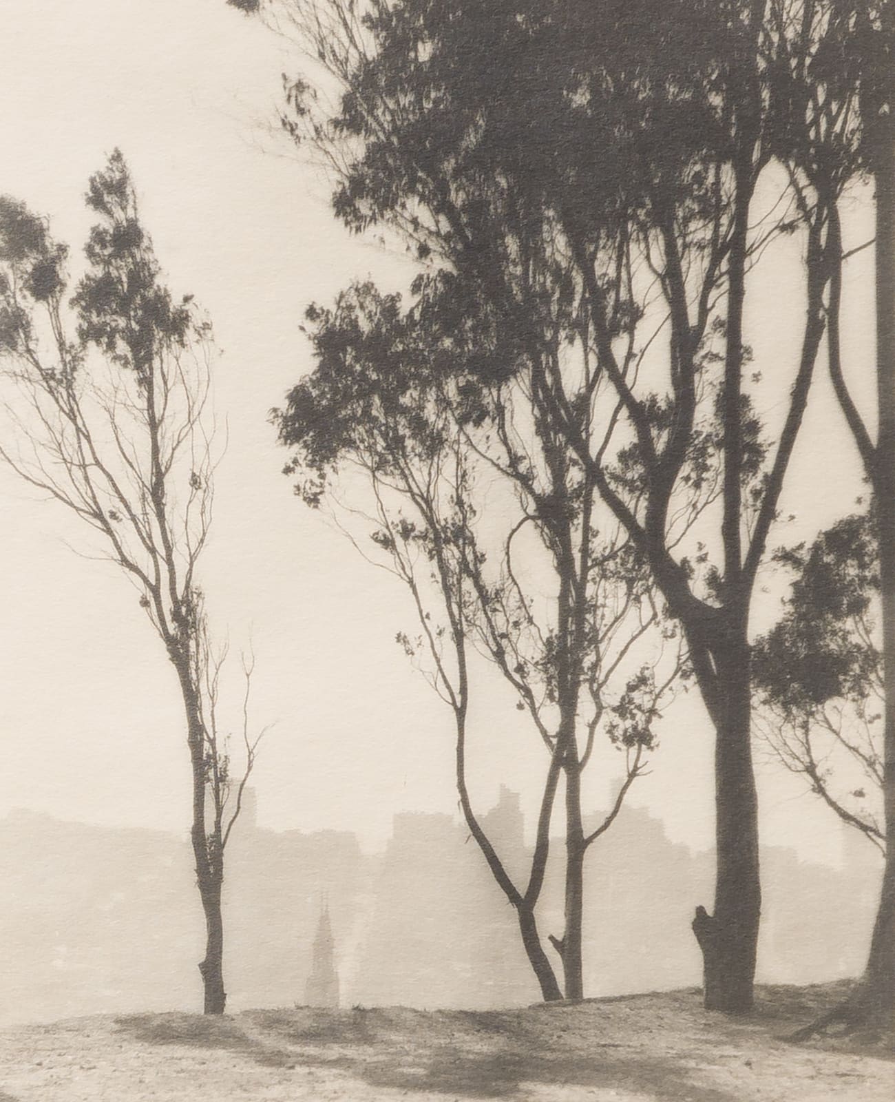 William Dassonville, San Francisco from Telegraph Hill, California, c. 1920s