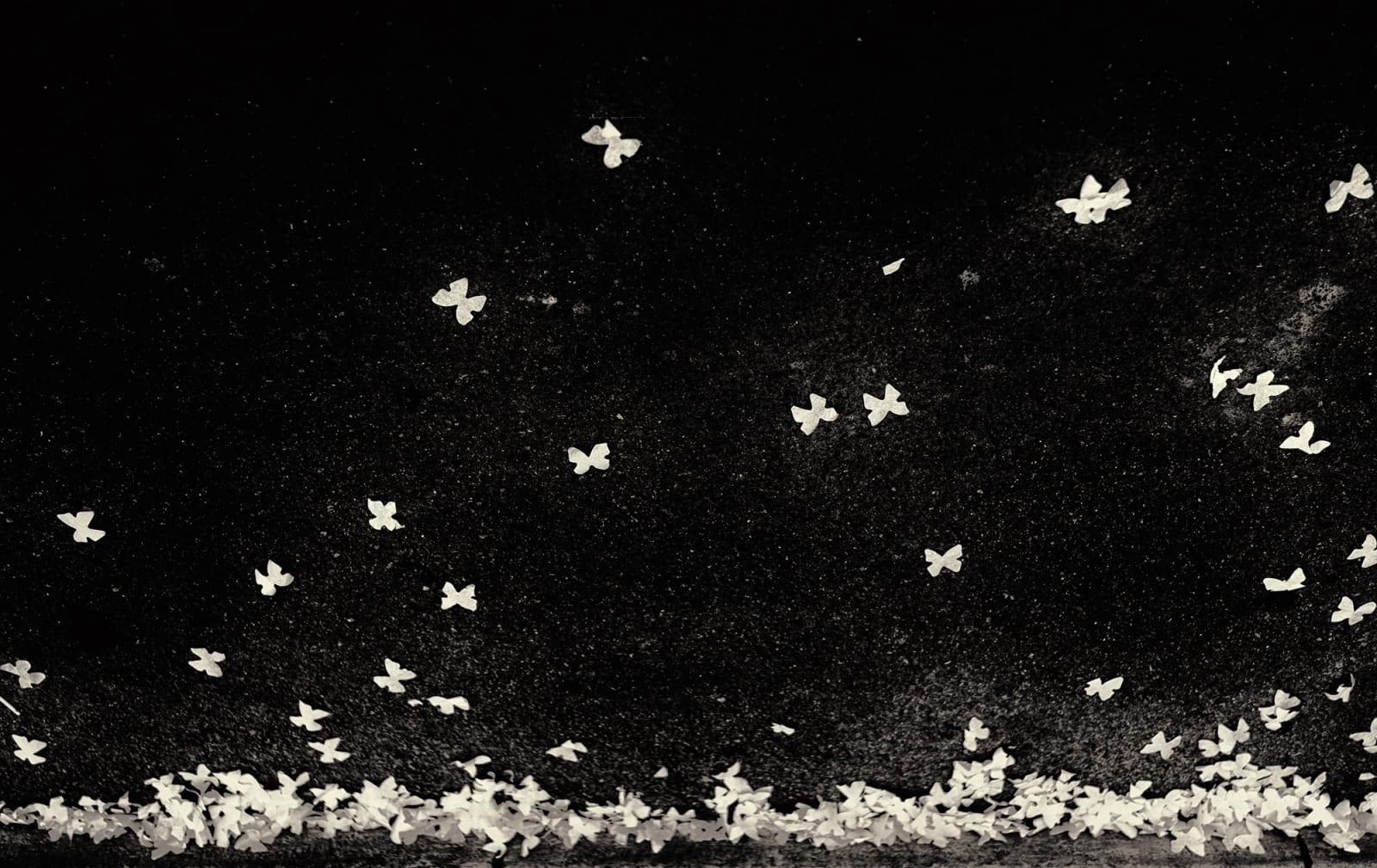 Albarrán Cabrera, The Mouth of Krishna #95, 2013