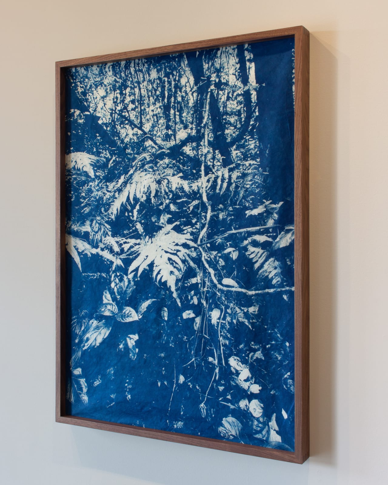 Miguel G. Counahan, Tuxtlas, 2021