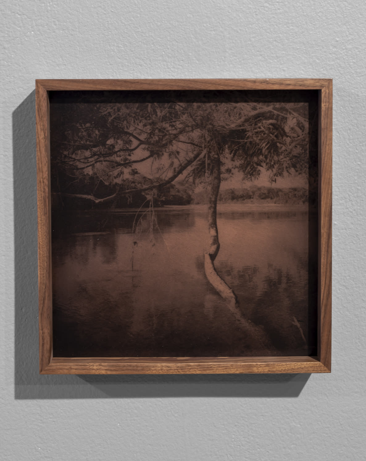 Miguel G. Counahan, Lacantún, 2021