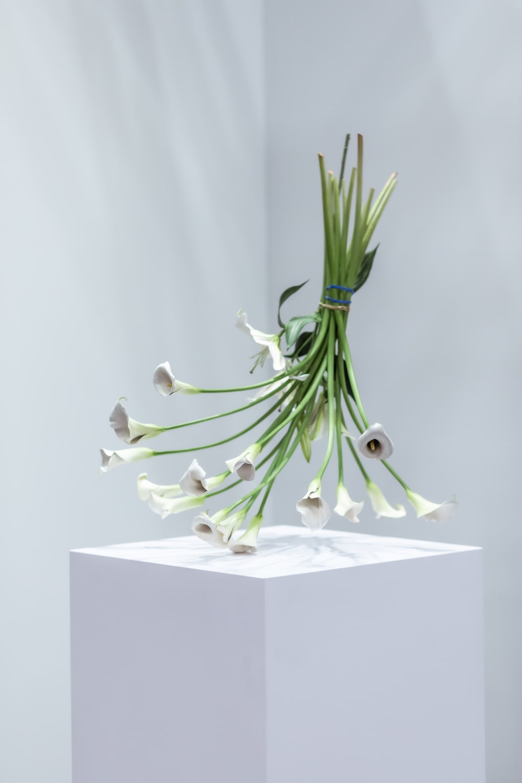 Tony Matelli, Arrangement (17), 2021