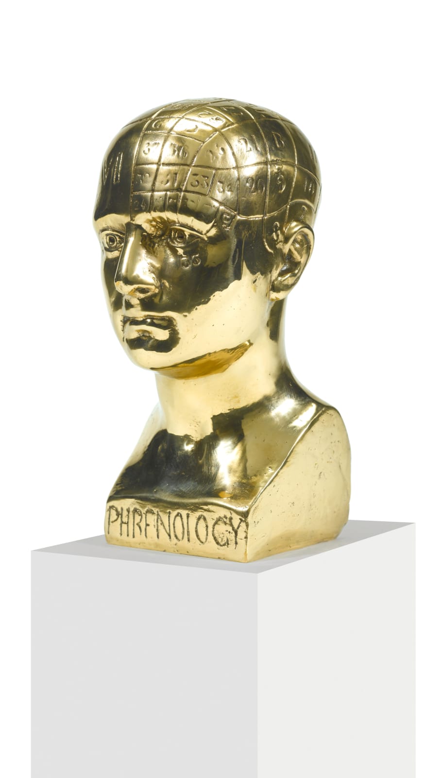 SL 2006 Phrenology Cranium HR