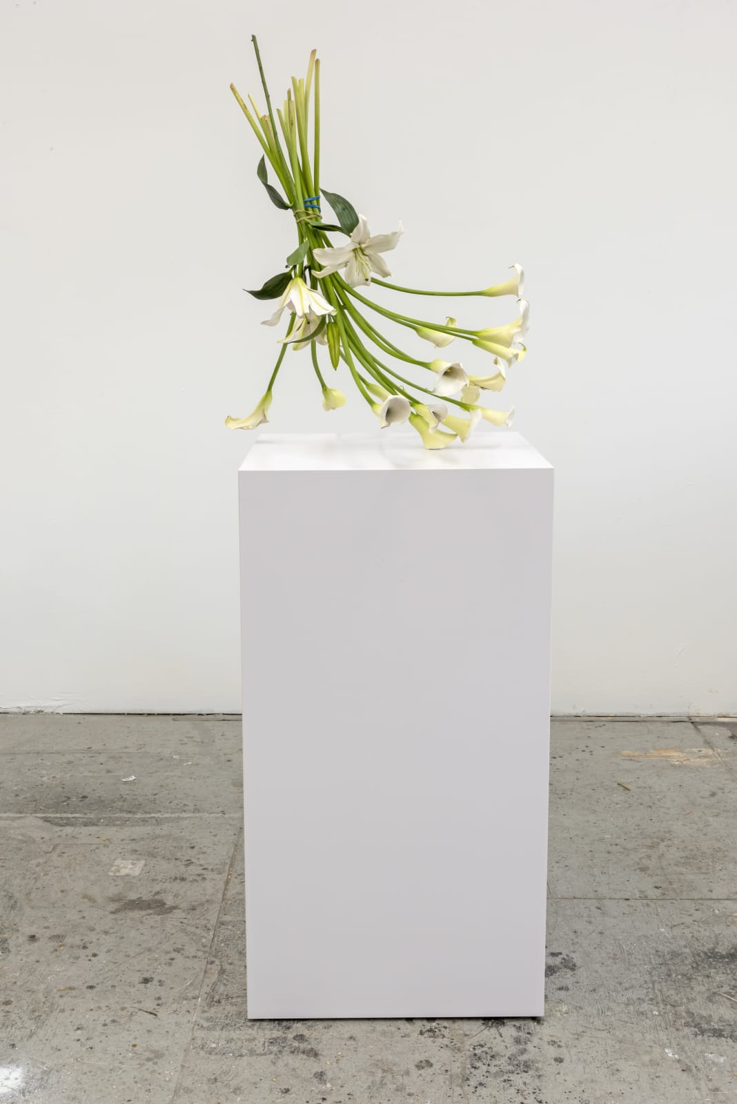 Tony Matelli, Arrangement (17), 2021
