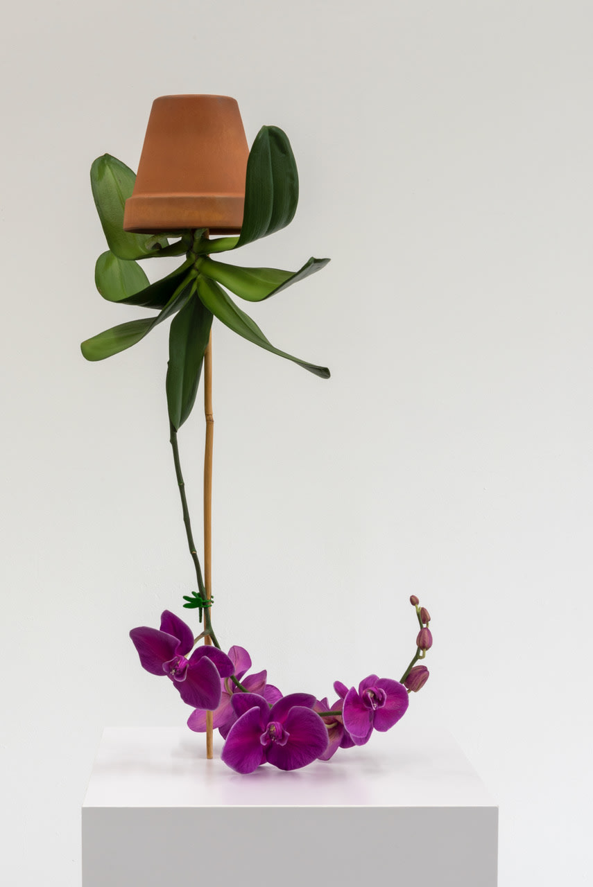 Tony Matelli, Arrangement (15), 2021