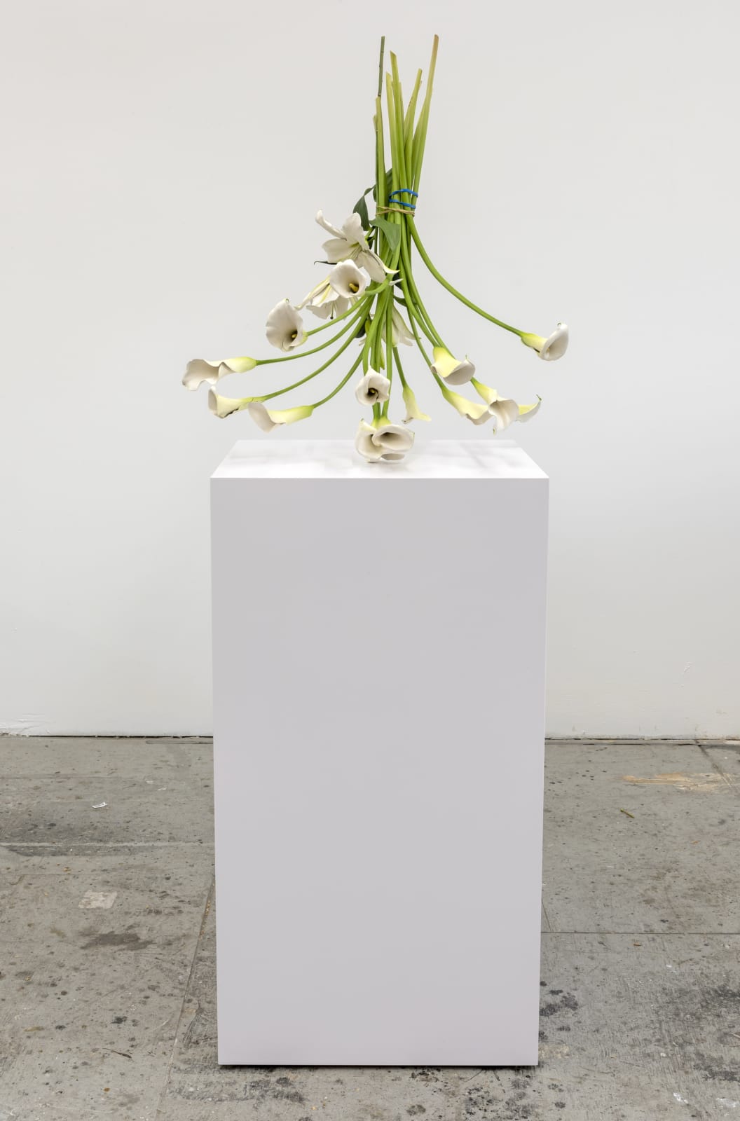 Tony Matelli, Arrangement (17), 2021