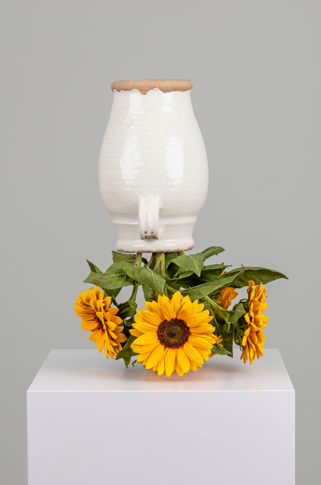 Tony Matelli, Arrangement, 2025