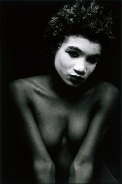 Coquette_1987-88