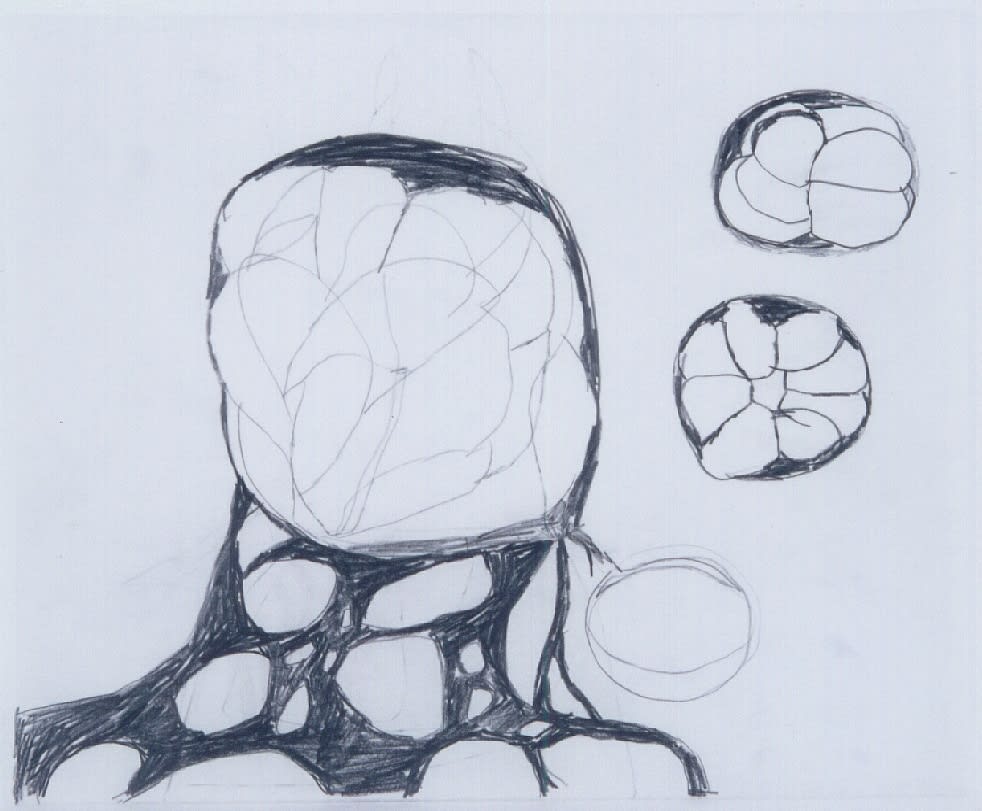 Terry Winters, Untitled, 1991