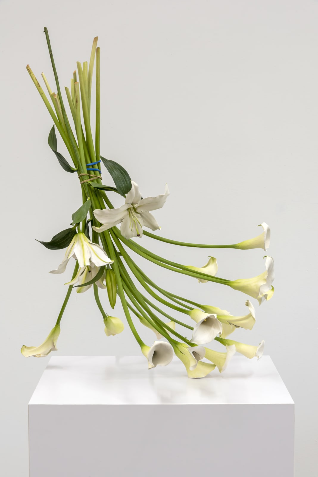Tony Matelli, Arrangement (17), 2021