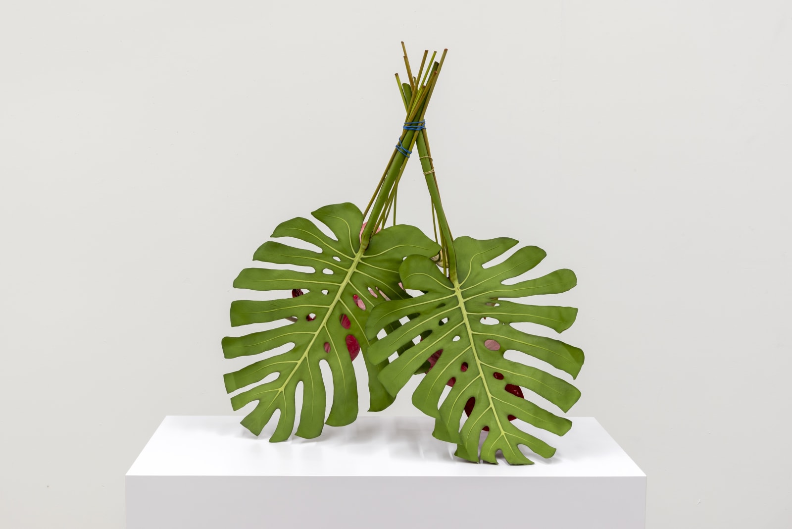 Tony Matelli, Arrangement (18), 2021