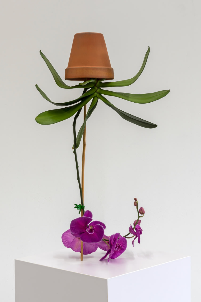 Tony Matelli, Arrangement (15), 2021