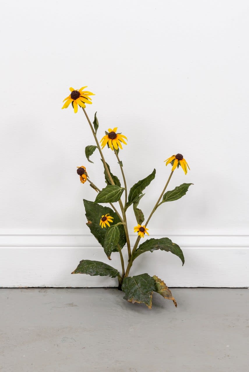 Tony Matelli, 784, 2025