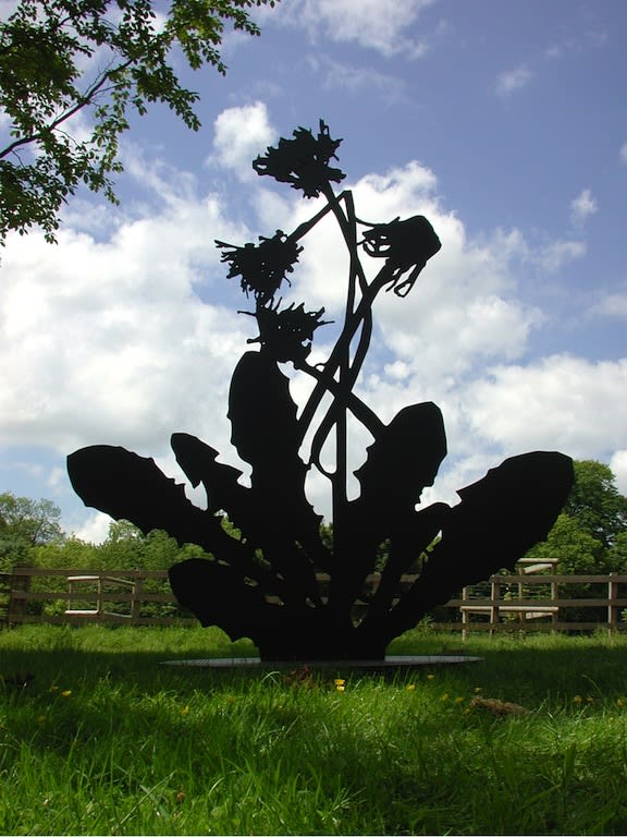 Paul Morrison, Topocline, 2005