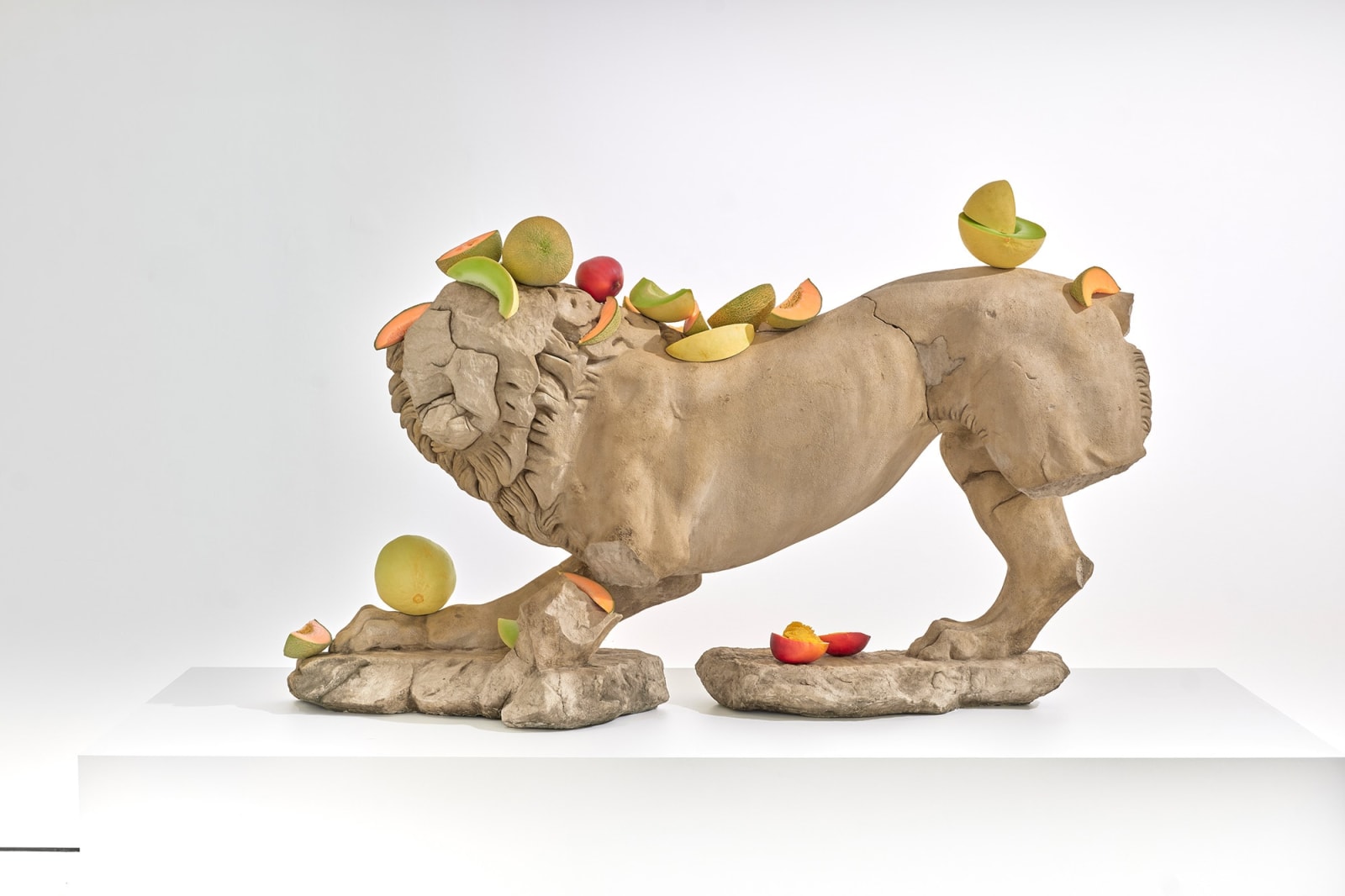 Tony Matelli, Lion (Fruit), 2019