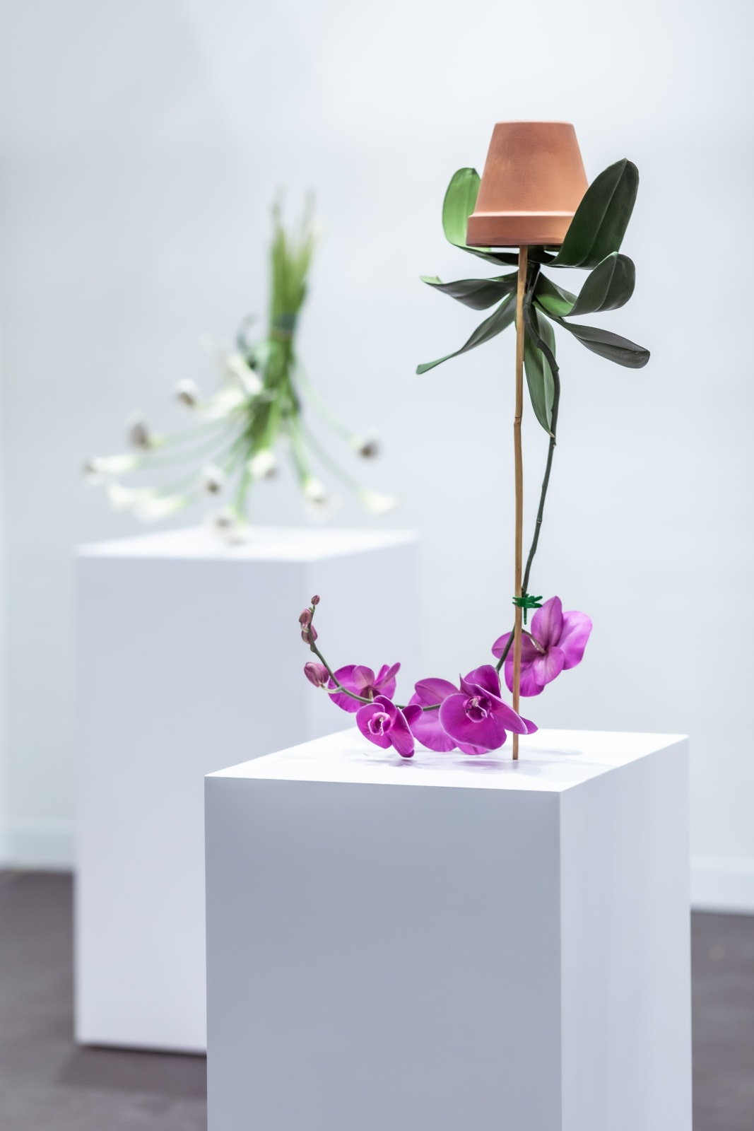 Tony Matelli, Arrangement (15), 2021