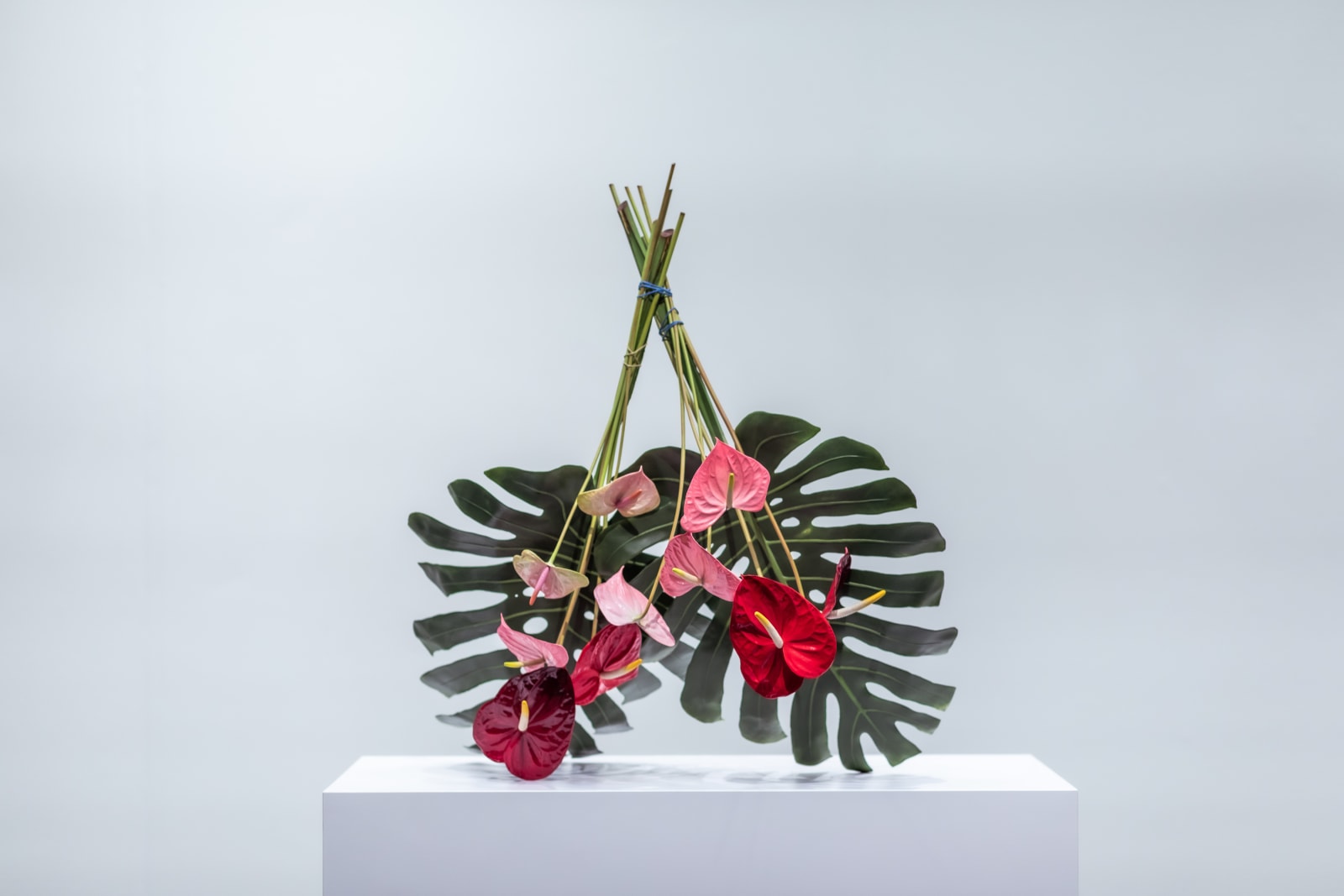 Tony Matelli, Arrangement (18), 2021