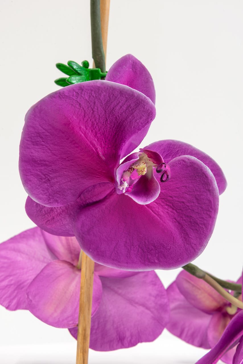 Tony Matelli, Arrangement (15), 2021