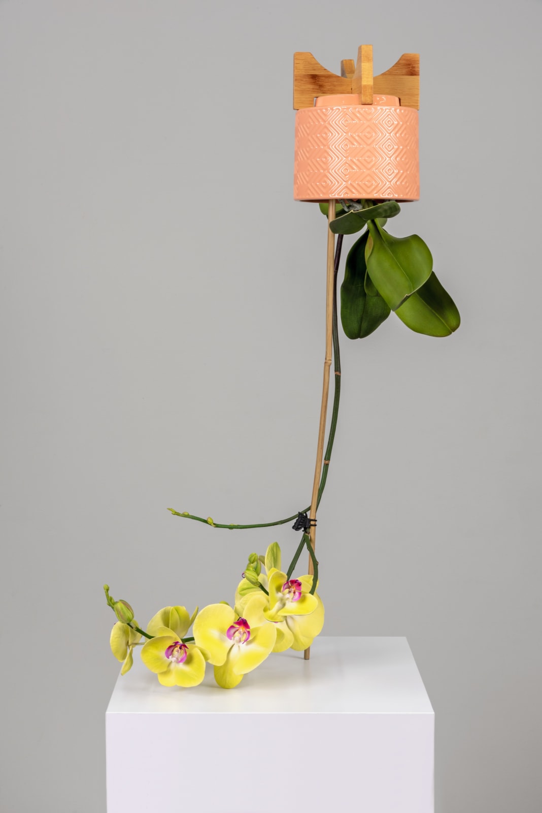 Tony Matelli, Arrangement-TM630, 2025
