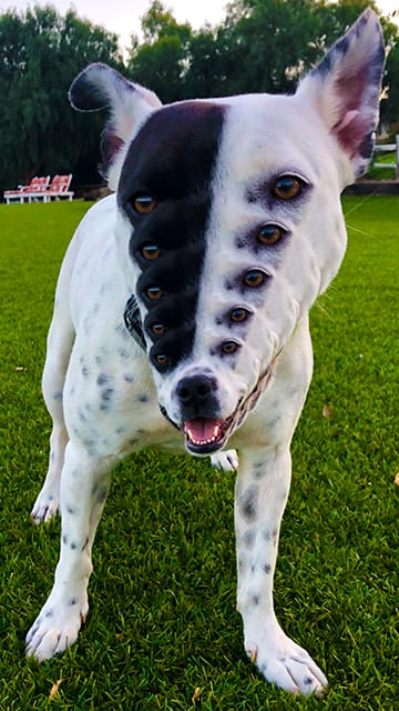 Kevin Spanky Long, photo Rendering No 3, 2019