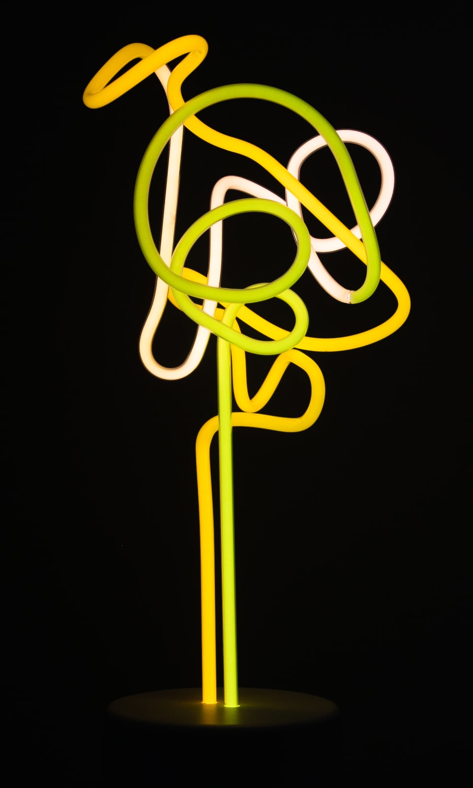 Lisa Schulte, Ingenue, 2019