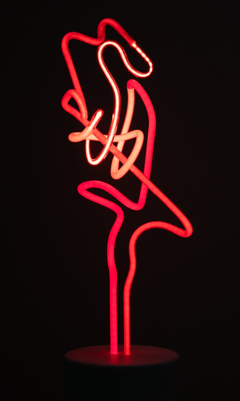Lisa Schulte, Amarus, 2019