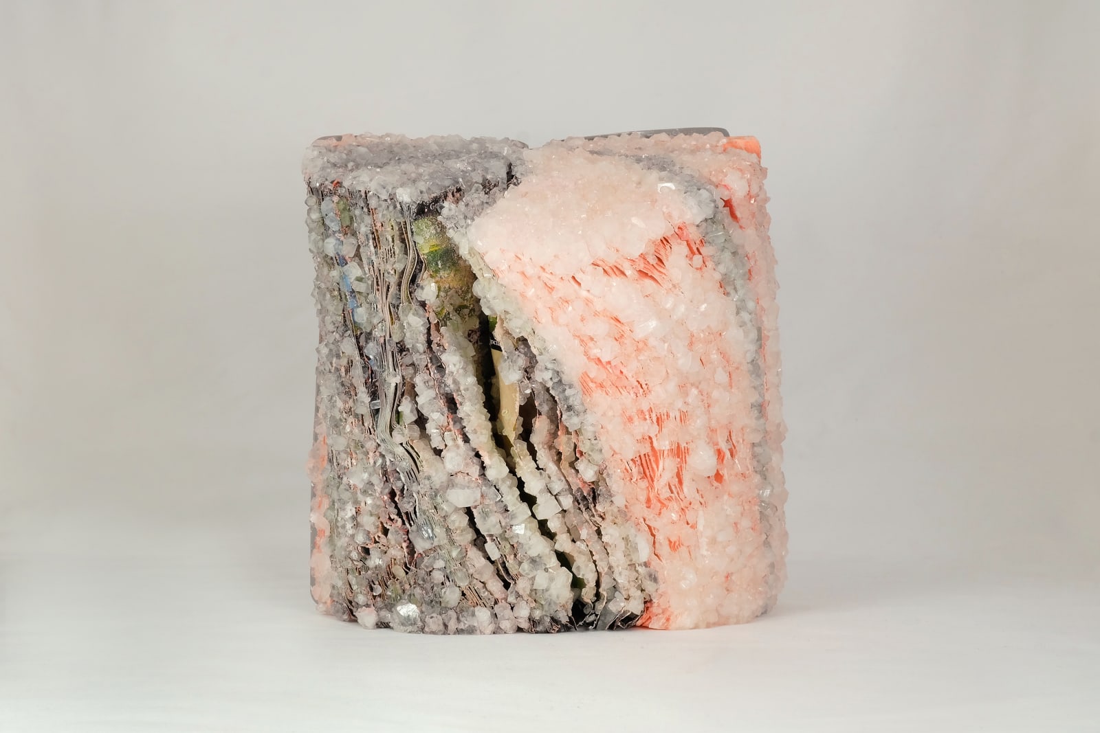 Alexis Arnold, Audobon Society Field Guide, 2019