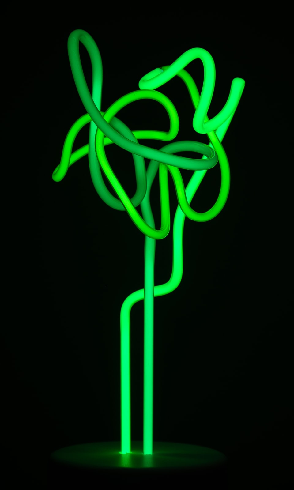 Lisa Schulte, Zinis, 2019