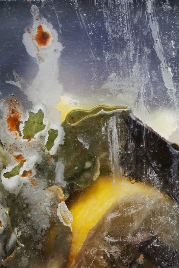 Laura Hull, de-compose03, 2018