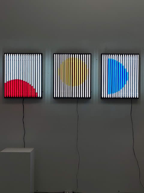 Lisa Schulte, PHASES, Living Through A Pandemic , 2020-2021