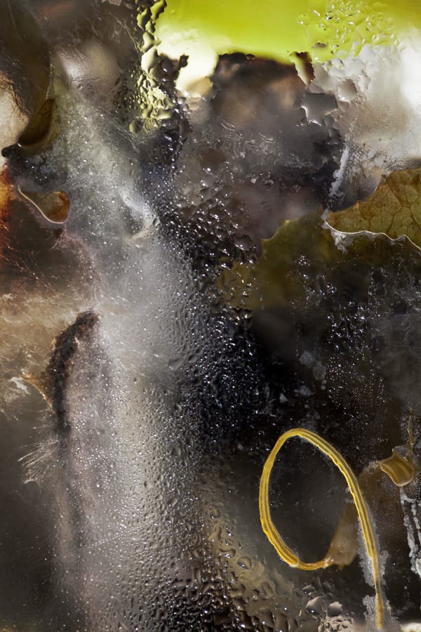 Laura Hull, de-compose21, 2019