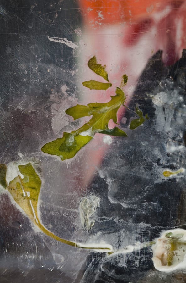 Laura Hull, de-compose07, 2018