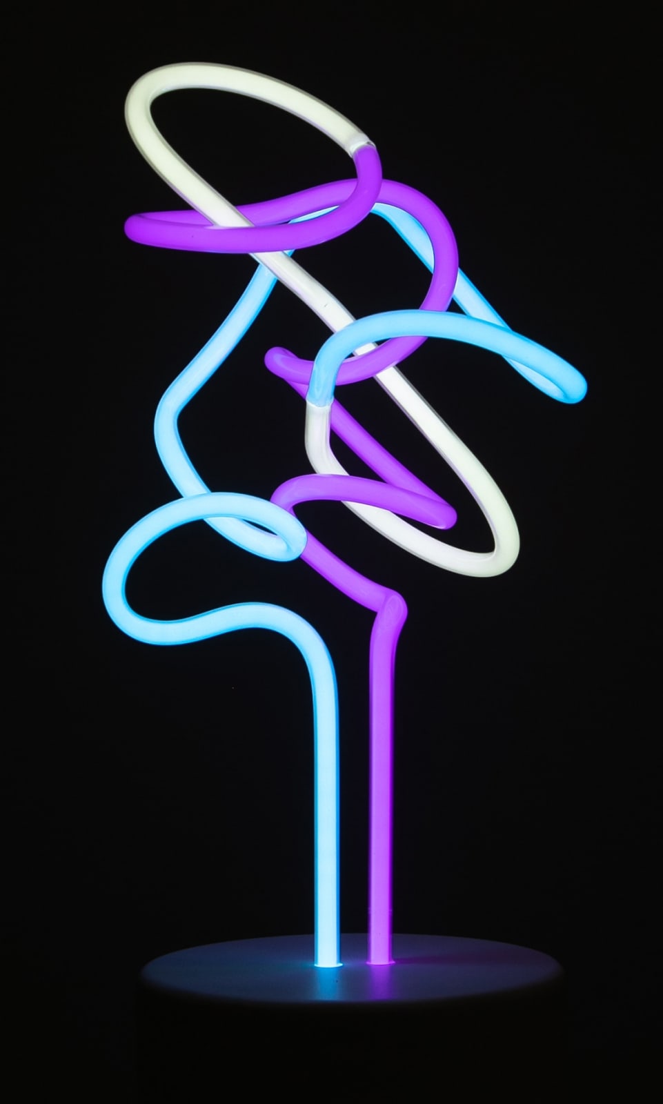 Lisa Schulte, Astor, 2019