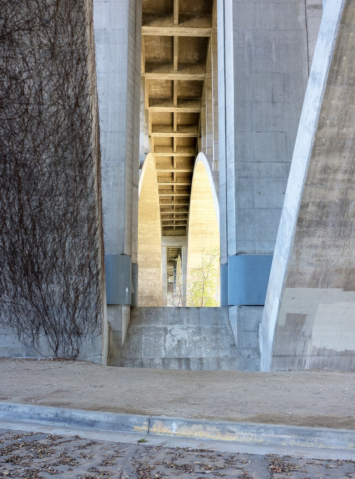 Sant Khalsa, Arroyo Seco, 2016
