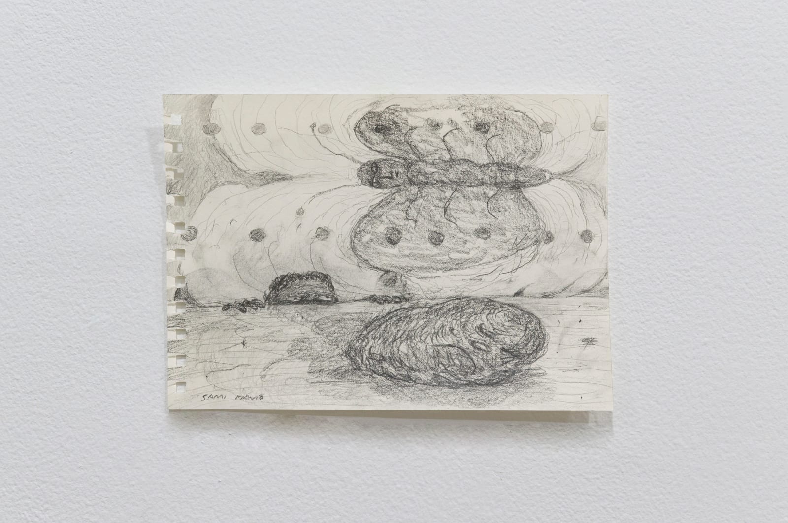 Sami Havia, Conch, 2022