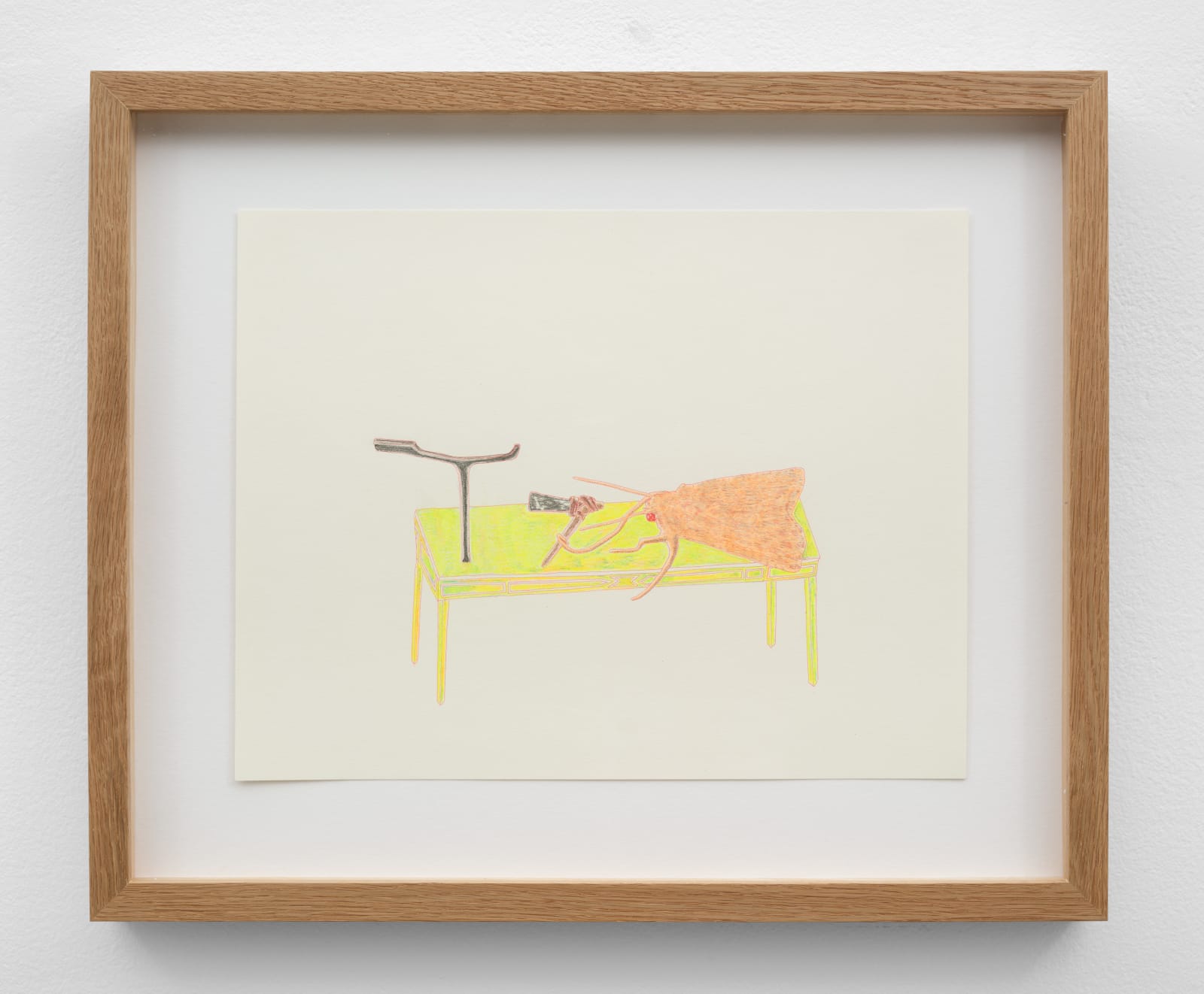 Joshua Drayzen, Dusky Focus, 2024