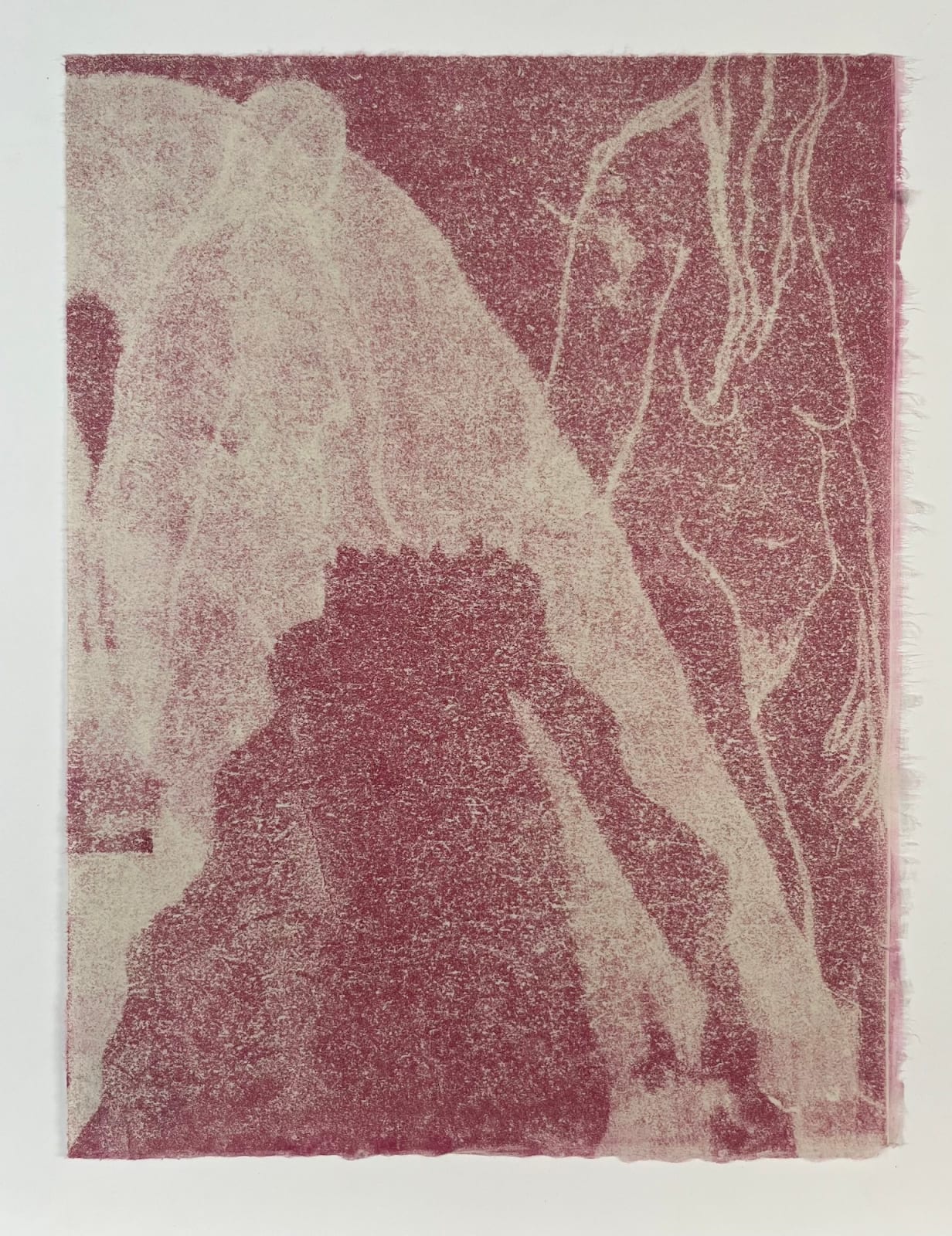 Lydia Baker, Rose Dream, 2023