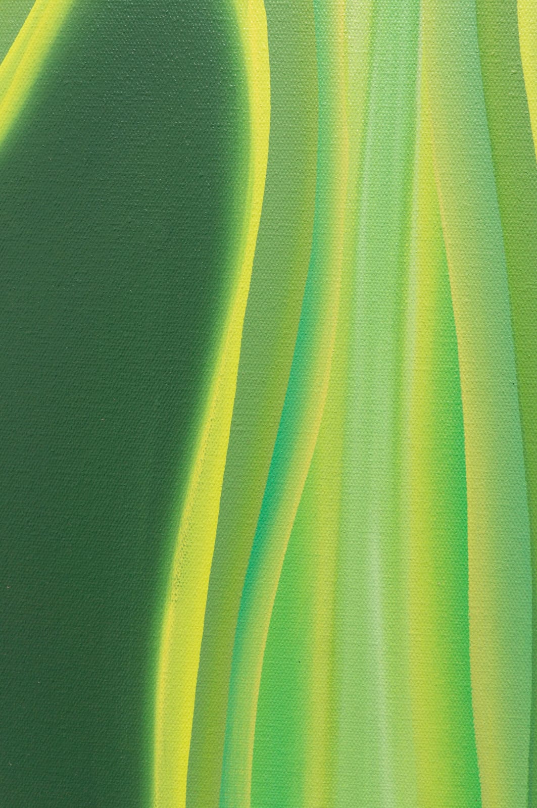 Bethany Czarnecki, Verdant, 2023