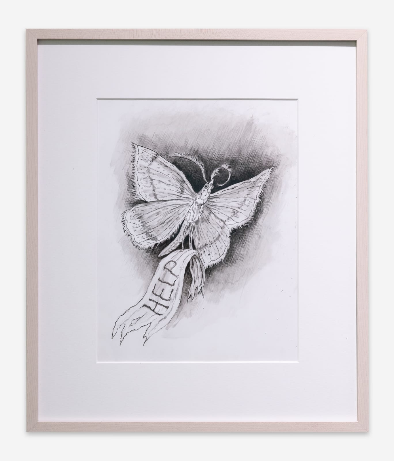 Jude Griebel, Plea, 2025