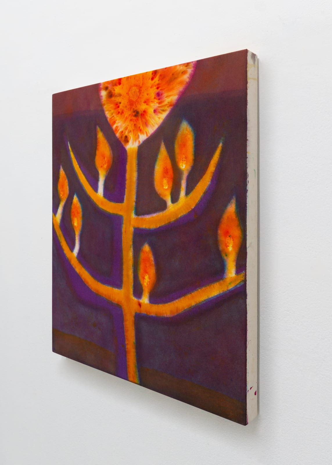 Loren Erdrich, Sun Worship, 2023