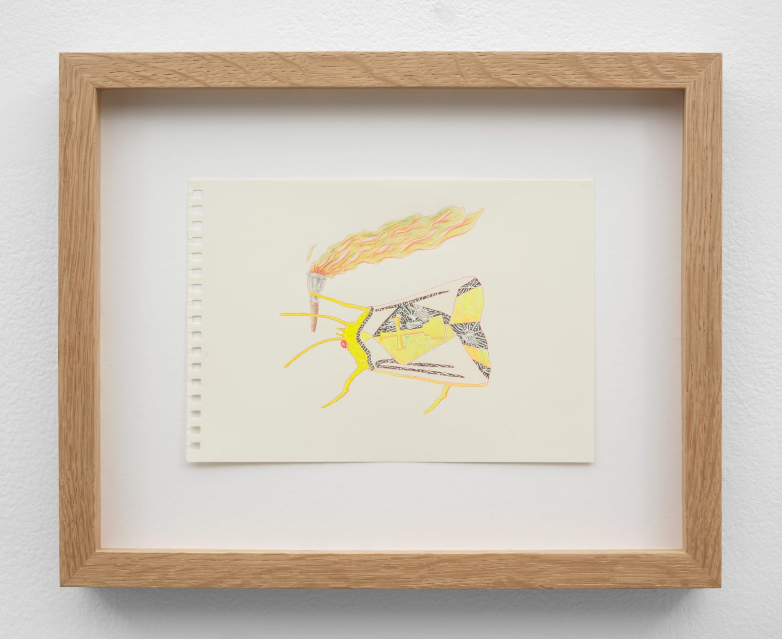 Joshua Drayzen, A Moth to a Flame, Wielding Its Own Torch (Crusader), 2024