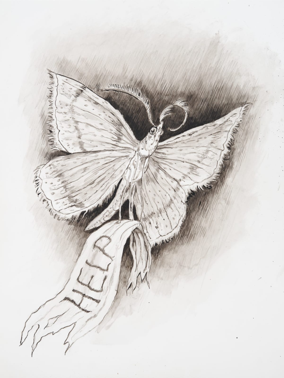 Jude Griebel, Plea, 2025