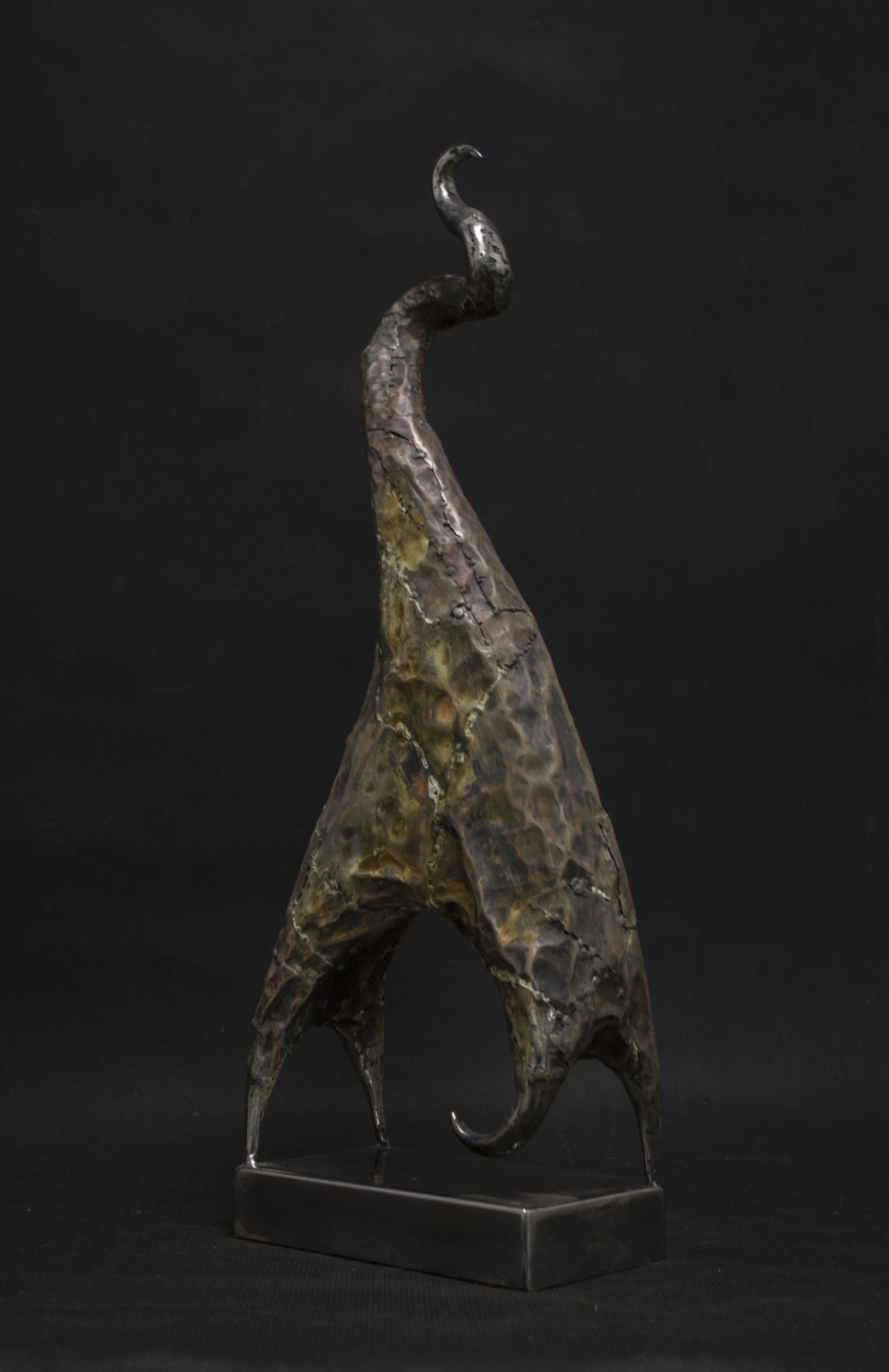 Alexander Dedov, Horse's Hypothalamus , 2020