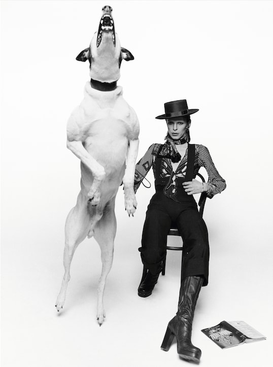 Terry O'Neill, David Bowie, Diamond Dogs (View 1), 1974