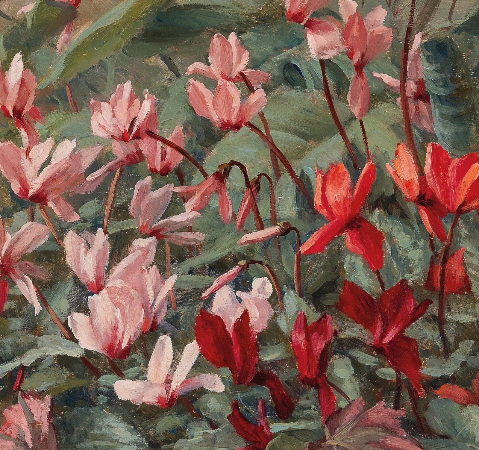 Camilla Göbl-Wahl, Cyclamen