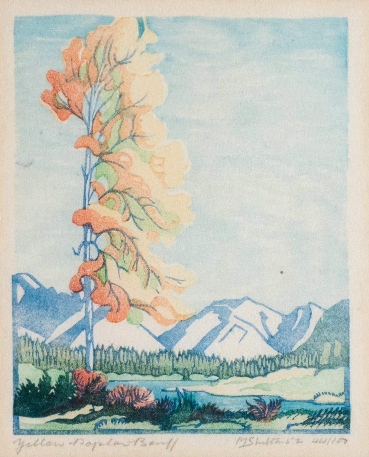 Margaret Shelton, Yellow Poplar Banff